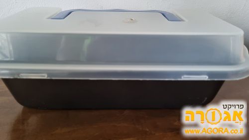 תבנית אפייה אינגליש