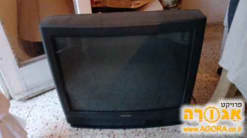 טלויזיה