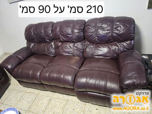 אריאל
