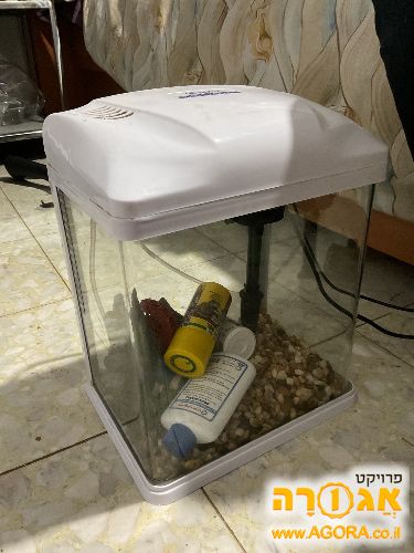 אקווריום