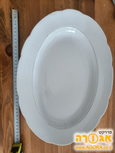 מגש להגשה