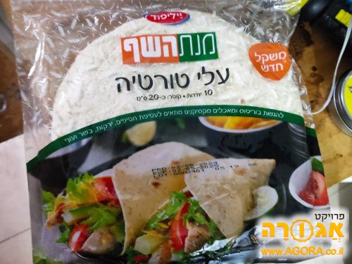 עלי טורטיה