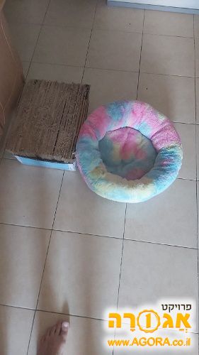 כורסה/מיטה לחתול