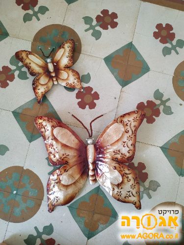 פרפרים דקורטיביים