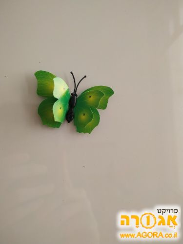 מגנט פרפר