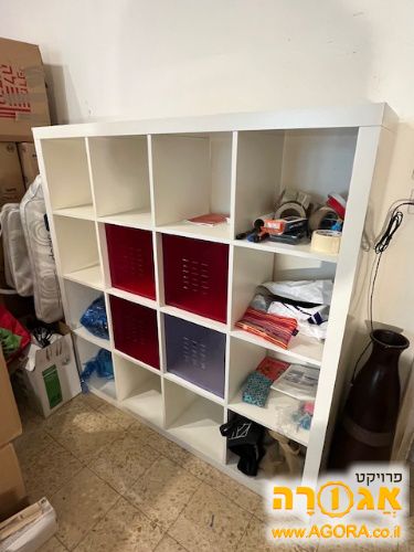 כוורת ספריה