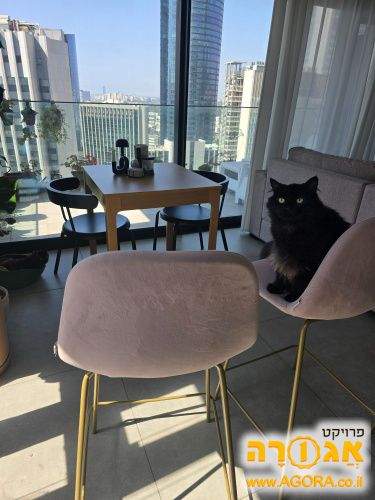 3 כיסאות בר