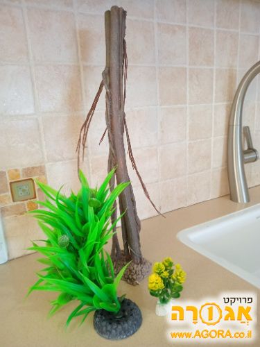 צמחיה לאקווריום