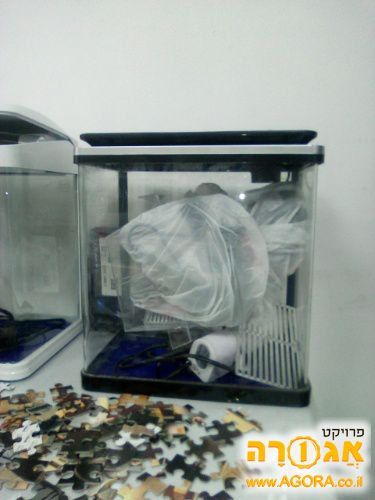 אקווריום