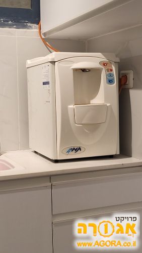 תמי בר