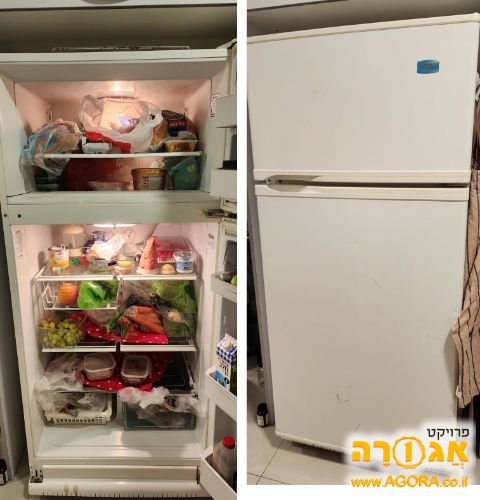 מקרר אפולו תדיראן