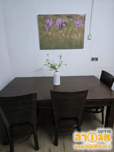 שולחן אוכל וכיסאות