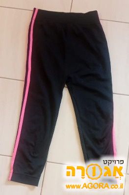 טייץ