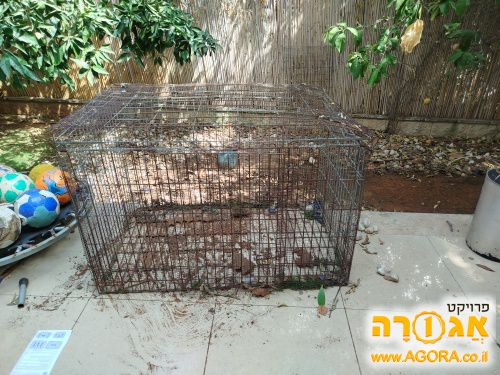 כלוב לארנבים