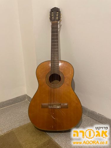 גיטרה