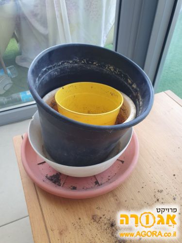 כלי פלסטיק לעציצים בגדלים שונים