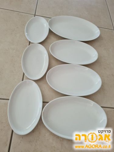 כעריות הגשה
