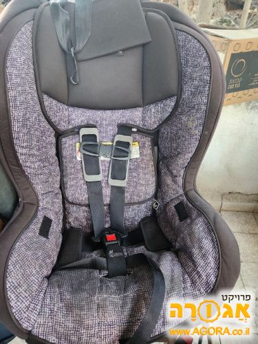 כסא בטיות ברייטקס