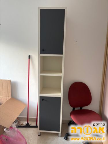ארונית