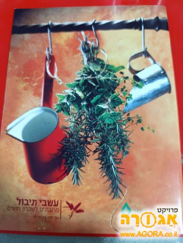 חוברת מתכונים - עשבי תיבול