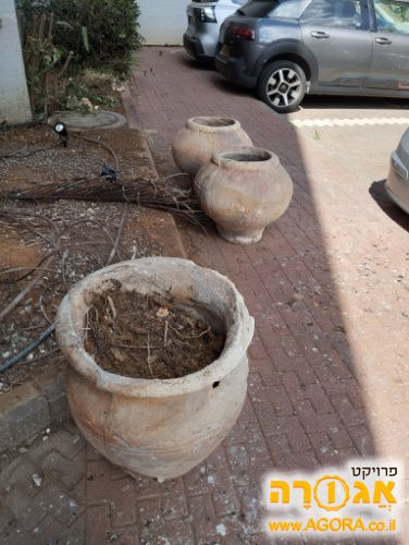 כדים לגינה