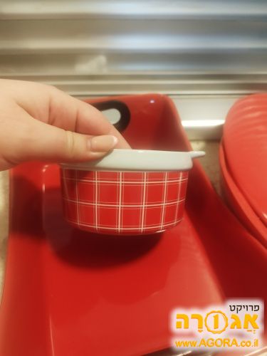 תבניות אפייה לתנור