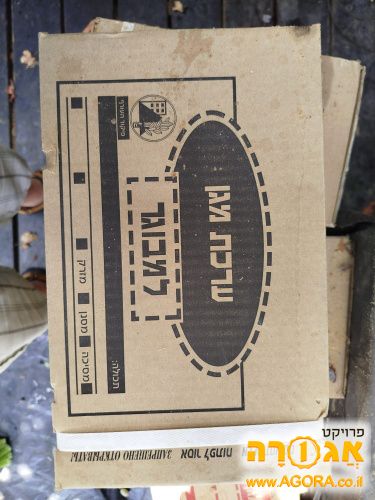 מסיכת אב"כ