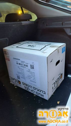 ערכה לשבעה