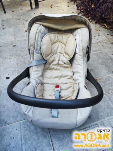 סלקל אינגלזינה