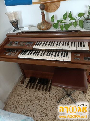 אורגן