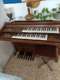 אורגן