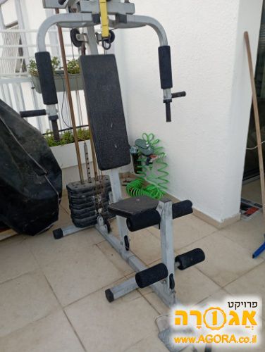 מולטיטרינר