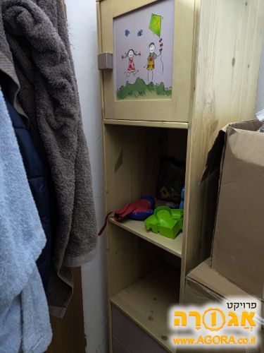 ארונית