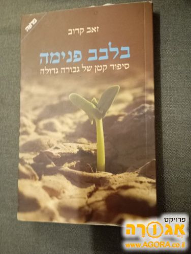 בלבב פנימה