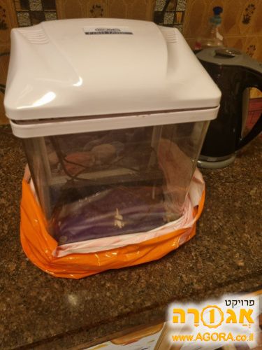 אקווריום קטן🐡🦈