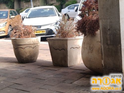 כדים לצמחים