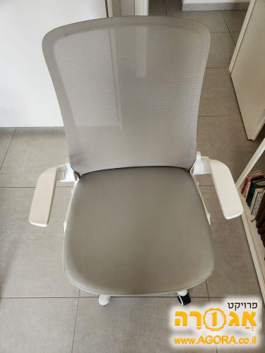 כסא תלמיד של ד"ר גב