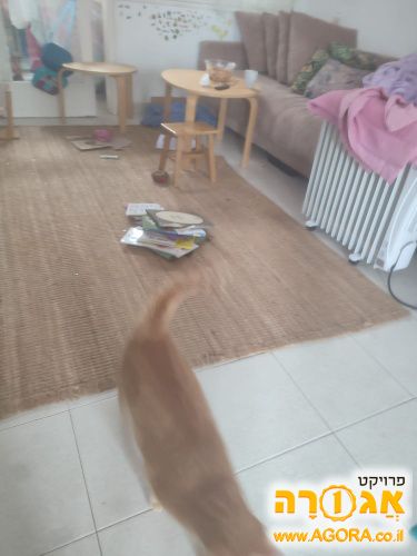 שטיח איקאה, היה מאופסן כשנתיים