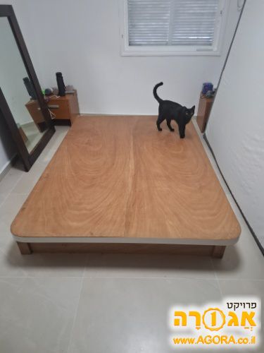 מיטה