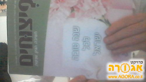פיצוחים