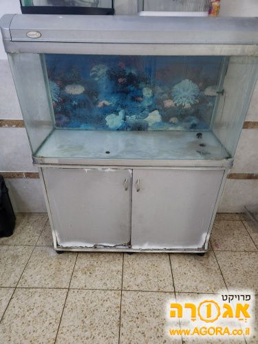 אקווריום