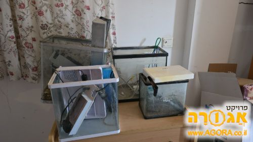 אקווריומים קטנים