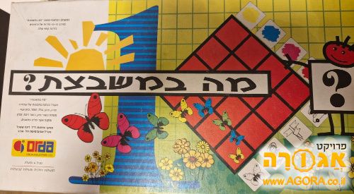 מה במשבצת