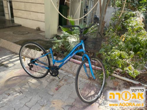 אופניים