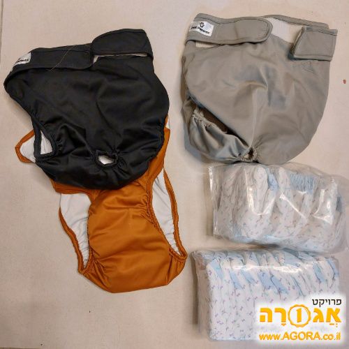 חיתולים לכלב גדול
