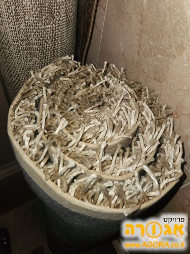 שטיח