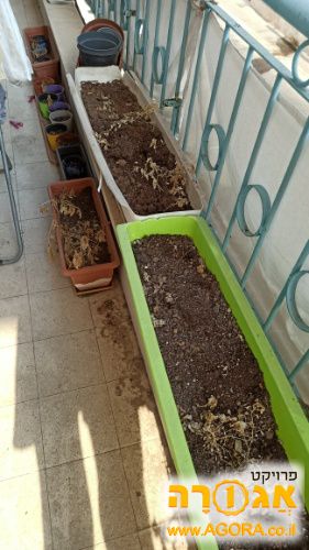 הרבה אדניות ועציצים
