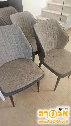 כיסא פינת אוכל