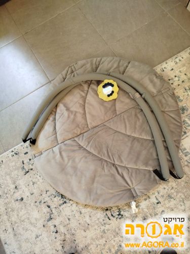 אוניברסיטה לתינוק