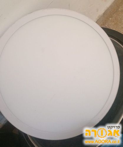 מנורה